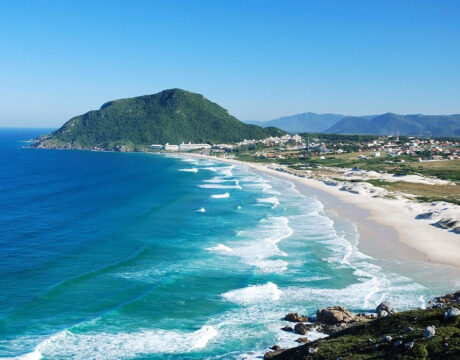 The Floripa Scene